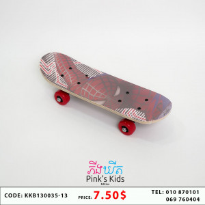 Skateboards ក្តាជិះស្គី E3