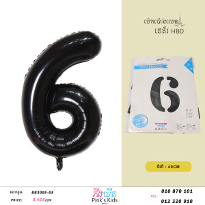 ប៉េងប៉ោងលេខ6-B-BB3005-05-6
