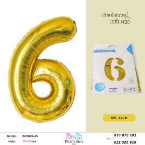 ប៉េងប៉ោងលេខ6-BB3005-05-06