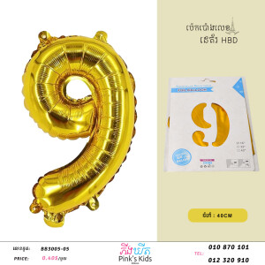 ប៉េងប៉ោងលេខ9-BB3005-05-09