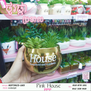 ប្រទាលជ័រhouse