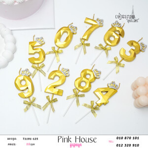 ទានខួបកំណើត-T1191-125