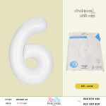 ប៉េងប៉ោងលេខ6-W-BB3005-05-6