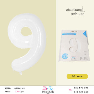 ប៉េងប៉ោងលេខ9-W-BB3005-05-9