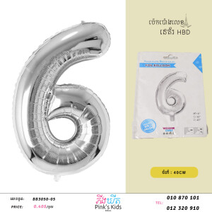 ប៉េងប៉ោងលេខ6-W-BB3050-05-6